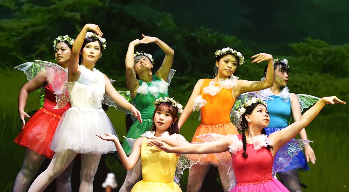 黎明技術學院《小哈利的森林大冒險》