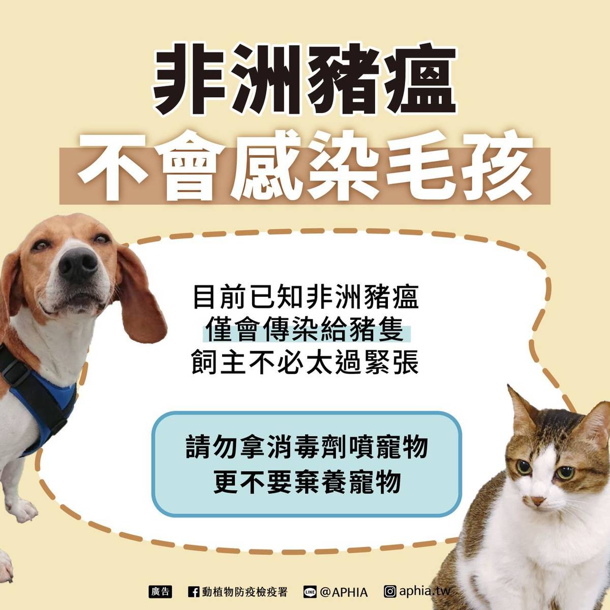 非洲豬瘟不會感染毛孩