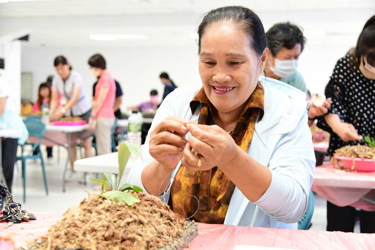 鹿角蕨×火山浮石手作植生板療育課程，自植生板製作到植株上板固定，學員皆以親手製作為核心理念。
