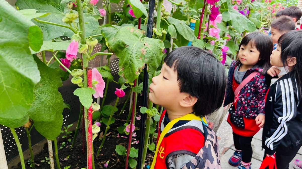 泰北非營利幼兒園