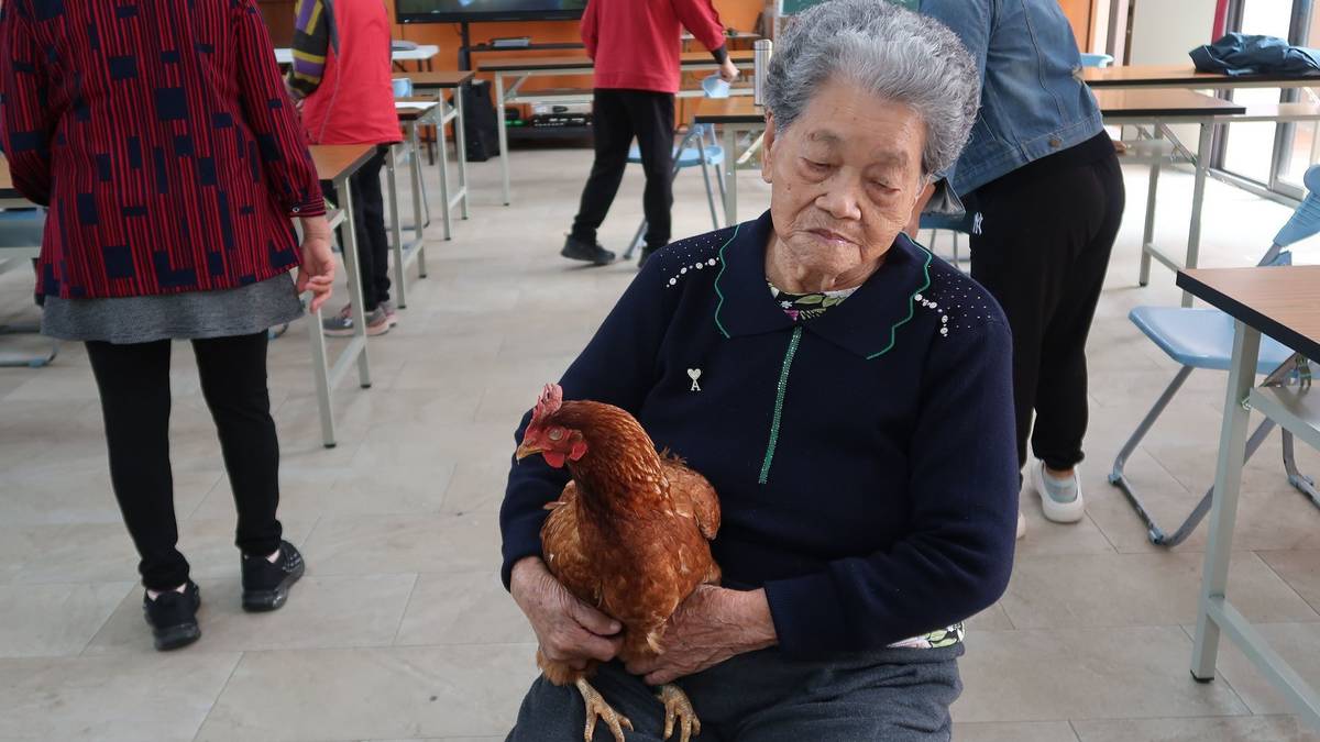 摸雞玩雞，心情真快活 