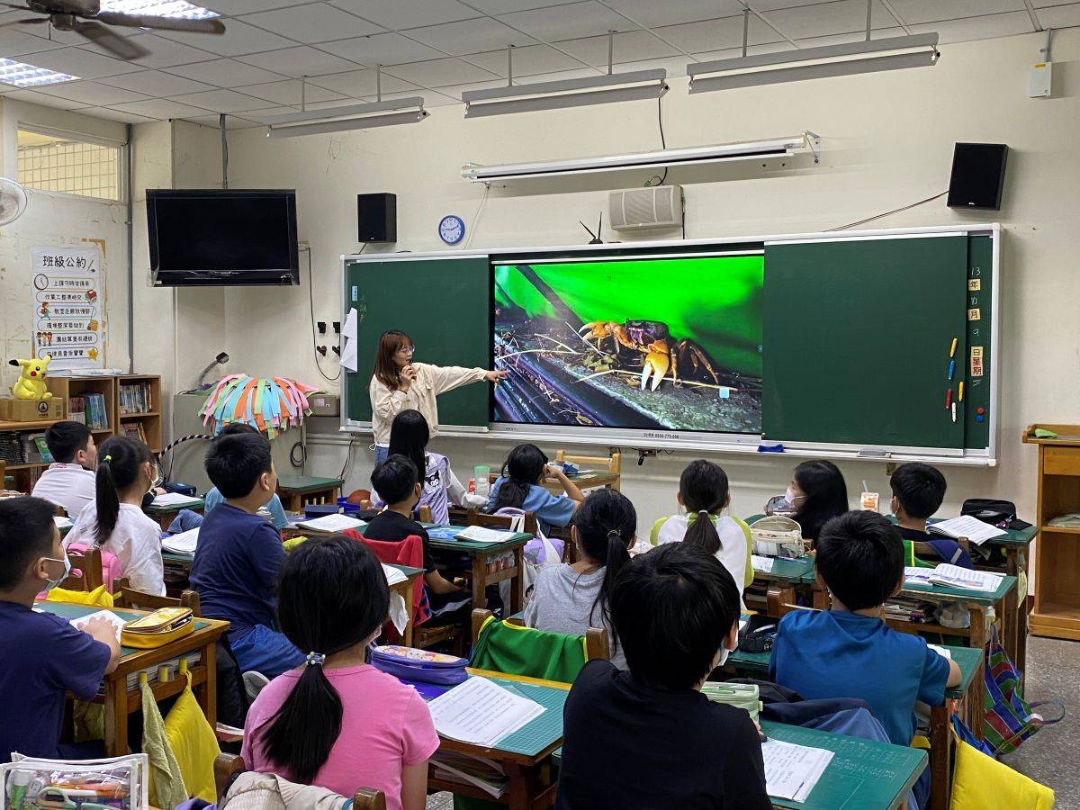 學生在自然科課程中學習護送陸蟹過馬路