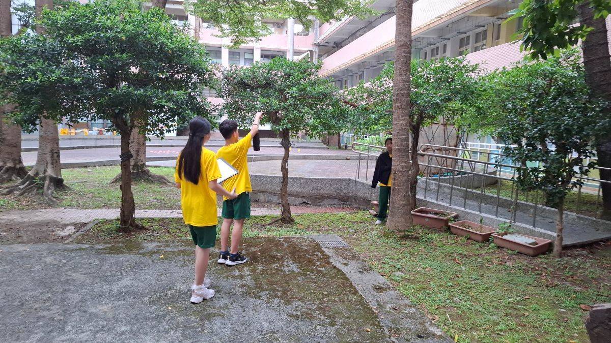 學生活用數學原理，動手測量樹高