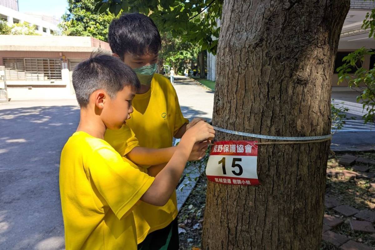 民族實中循環經濟家族課程規劃「校園樹木探盤查」主題，學生測量樹木碳吸存量



 