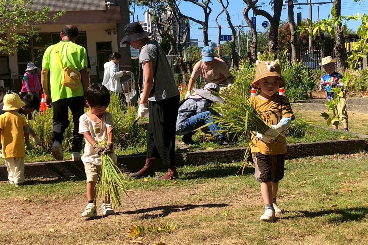 桃園市立八德幼兒園舉辦「綠地耕心ー親子農耕體驗活動」，小朋友體驗農事


