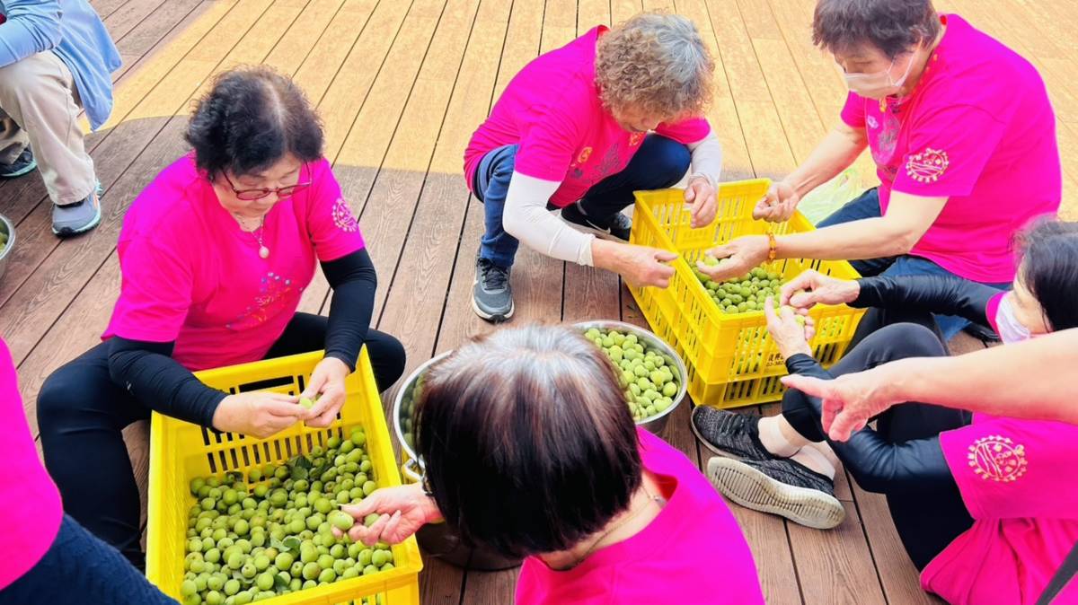 梅子後製處理準備做梅子釀