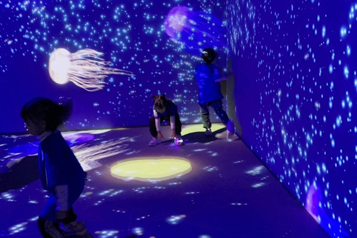 光影體驗區將在11月25日至12月31日開放試營運