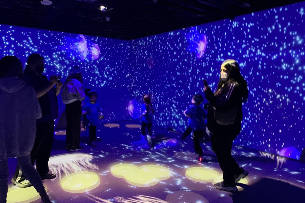 「光影體驗區」結合牆面投影與動態感應技術，營造可觸可動的互動場景