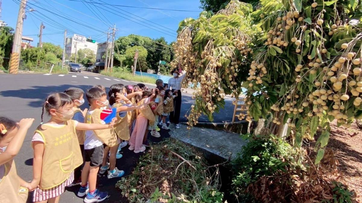 神圳非營利幼兒園