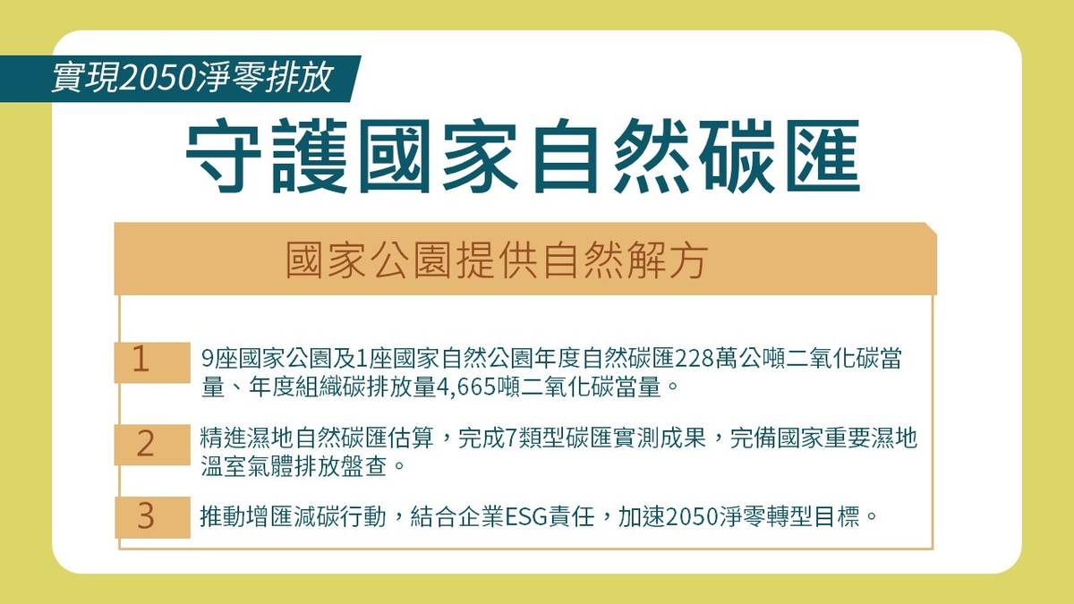 內政部國家公園碳匯調查 近1萬8千座大安森林公園每年碳吸存量