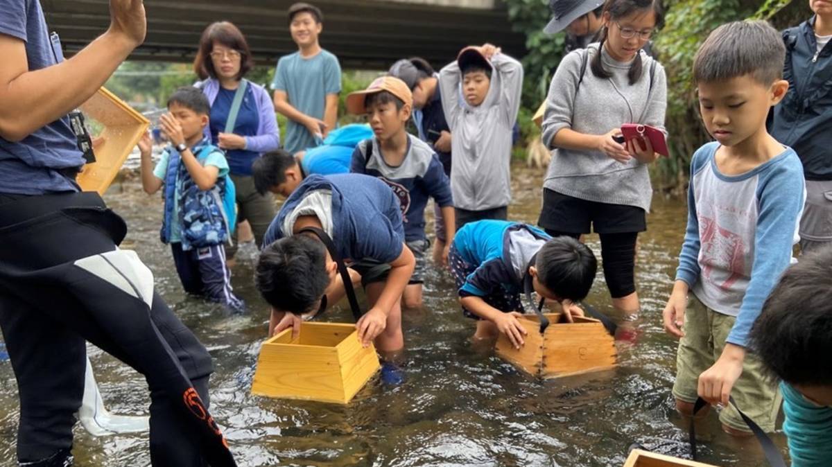 用窺箱觀察水中生物，可近觀而不打擾