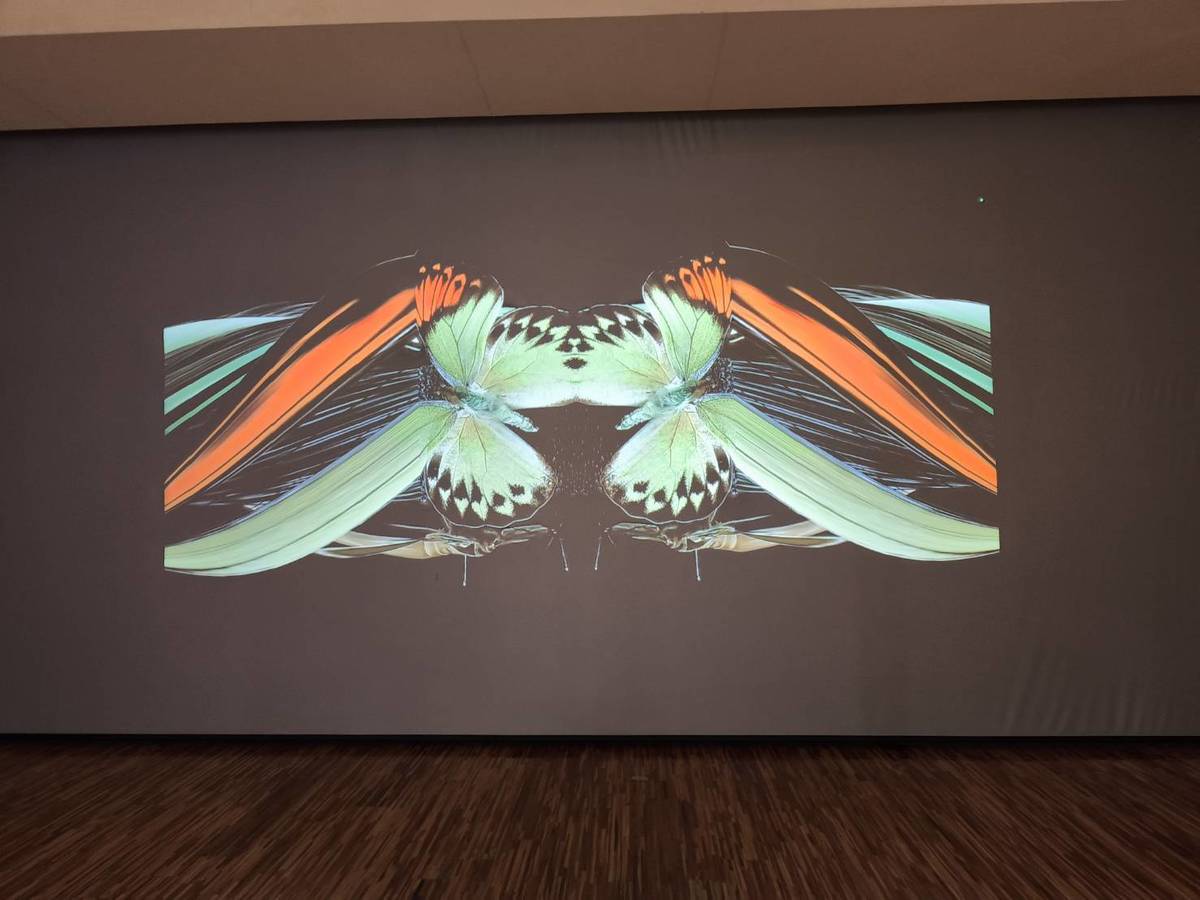 國立臺灣博物館「島嶼飛行－臺灣蝶蛾生存記特展」展覽同時結合高畫質生態影像與互動裝置，完整呈現蝶與蛾的多樣姿態，相當精彩。