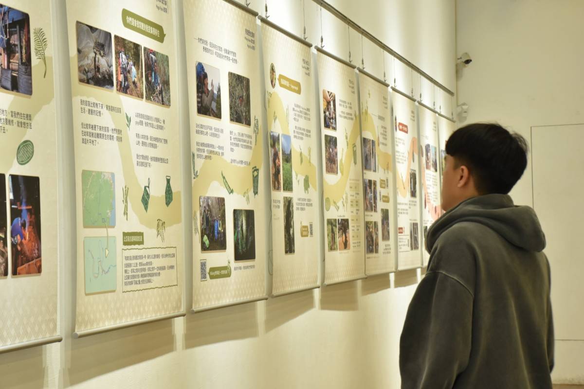 腳下的根雲端的路 