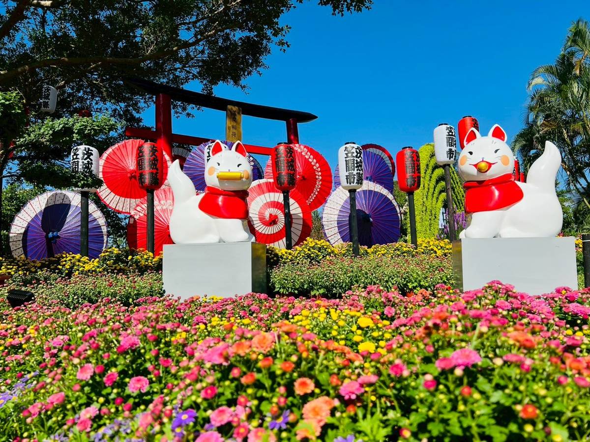 笠間菊花節展區展出日式和傘及獻燈，兩隻狐狸雕像