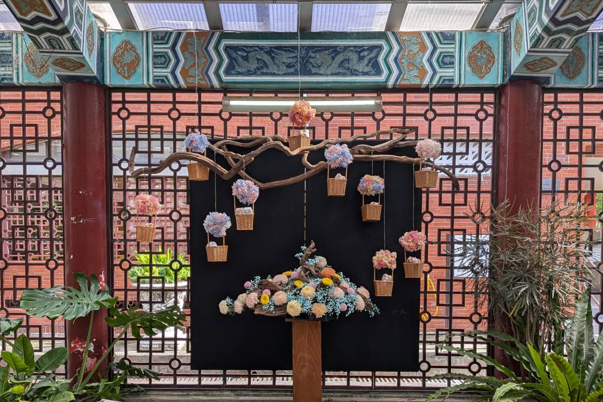 花藝師透過「噴色」和「吸染」方式讓菊花呈現粉嫩色彩