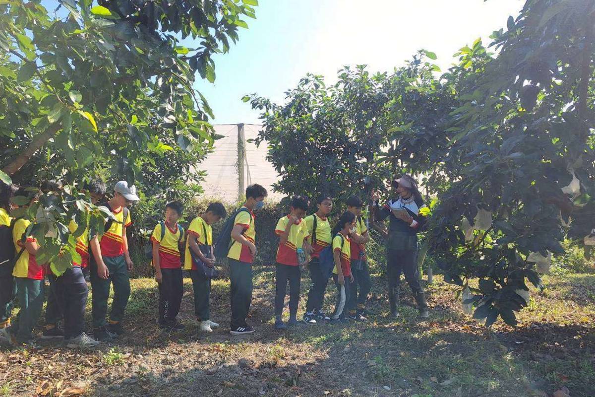 雲林後埔國小探尋可可、酪梨及社區雞場 食農教育深入在地