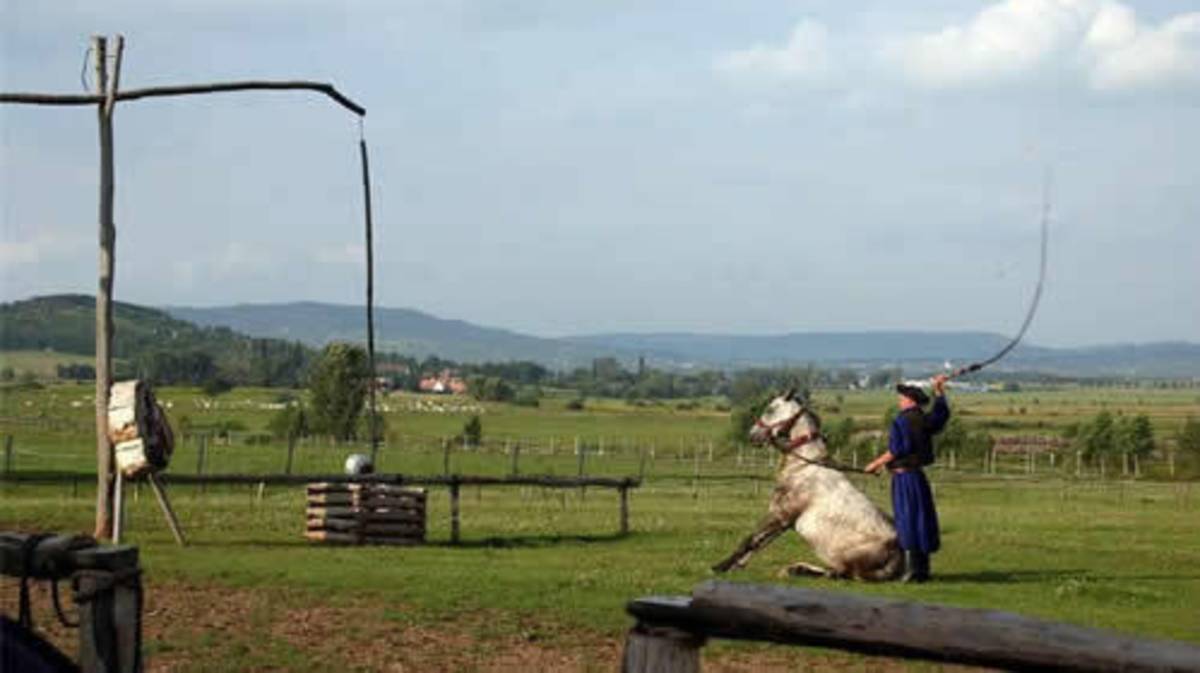 著名文化景觀：荷托巴吉國家公園-匈牙利(引自臺灣世界遺產潛力點網站/名詞解釋)