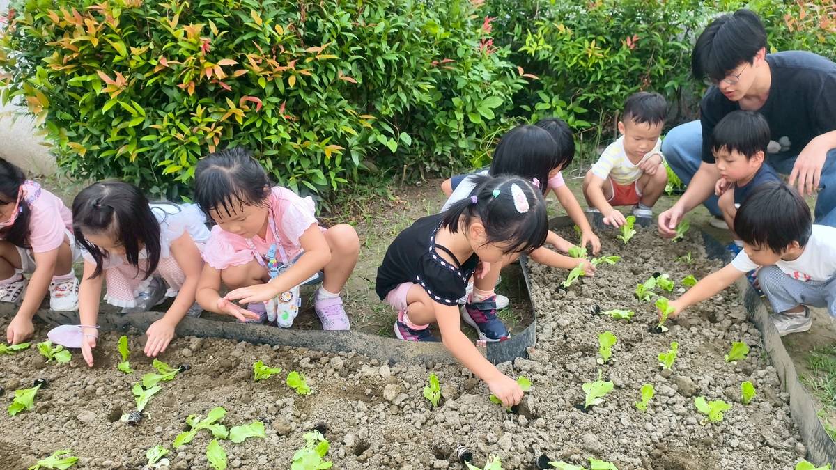 南新非營利幼兒園