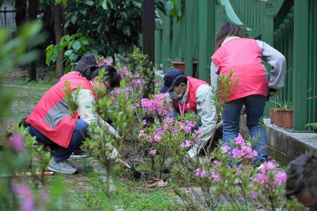 民眾領苗後可至「為地球種下一棵樹—百萬人種百萬樹」官網了解如何種樹