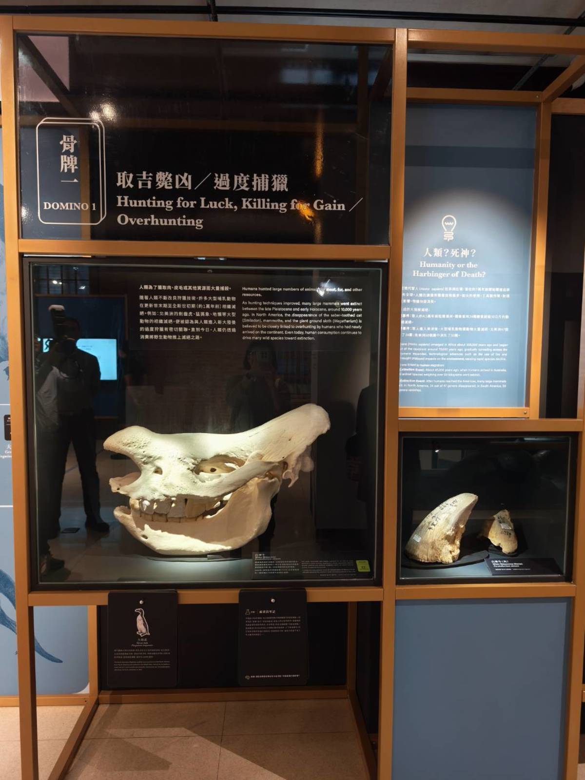 「第六次大滅絕?命運還是機會」特展