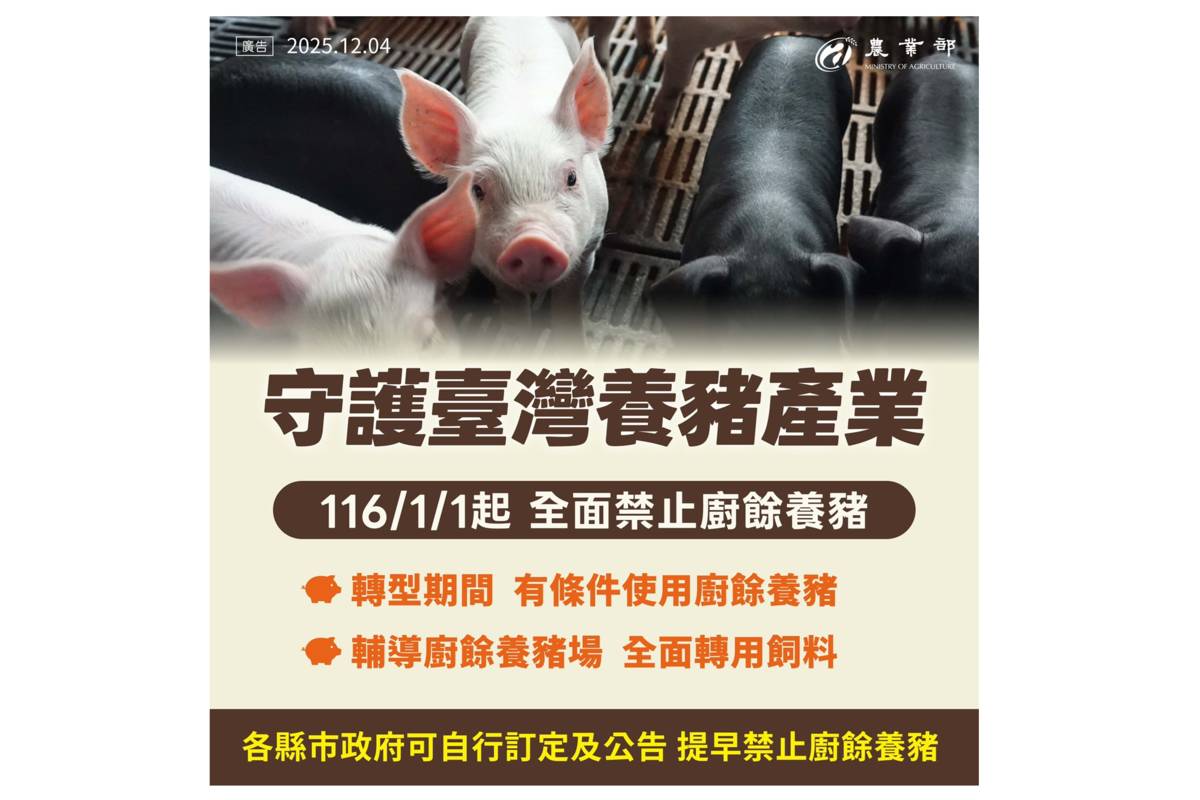 農業部將全面禁止廚餘養豬的全國轉型最後期限明訂為115年12月31日(圖片:農業部提供)