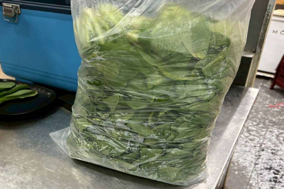 臺北市衛生局執行火鍋料專案抽驗計畫，2件青江菜檢出農藥殘留超過容許量