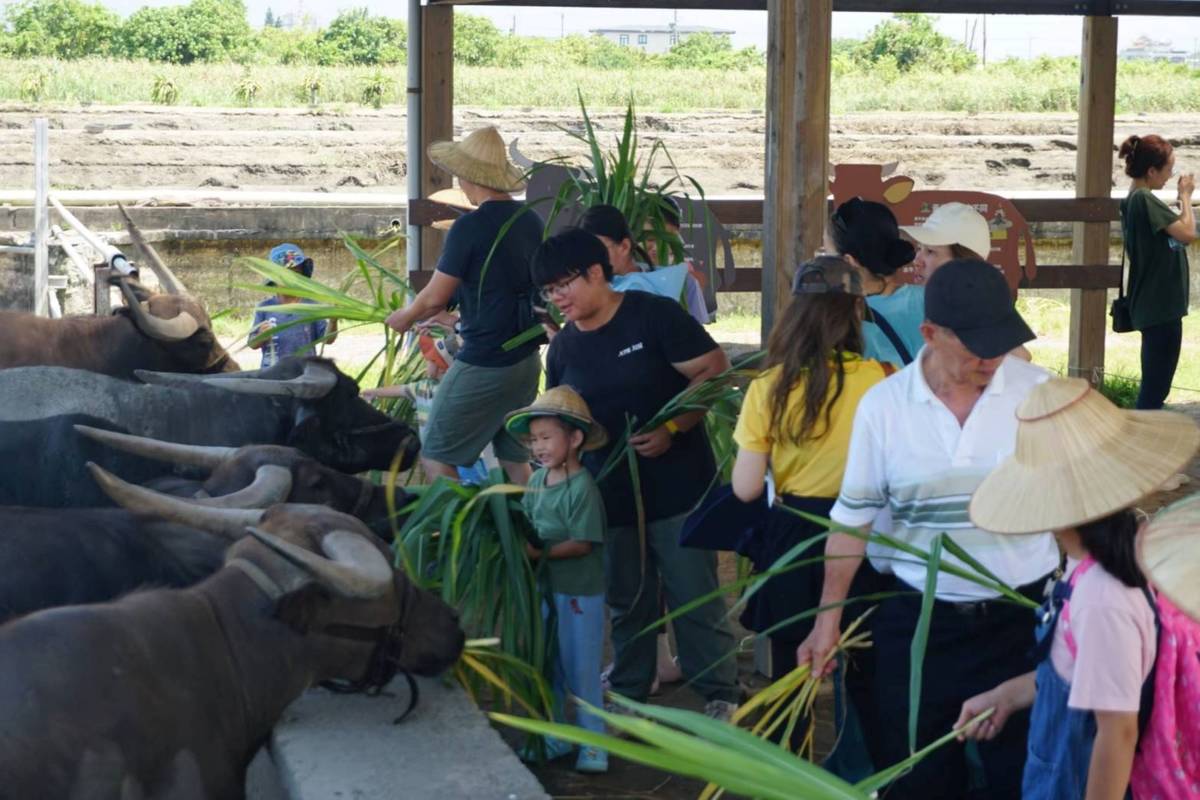 《發糞塗牆的計劃》的黃瑛祺，在輔導業師的陪伴下，持續討論並細化實踐內容。(教育部提供)