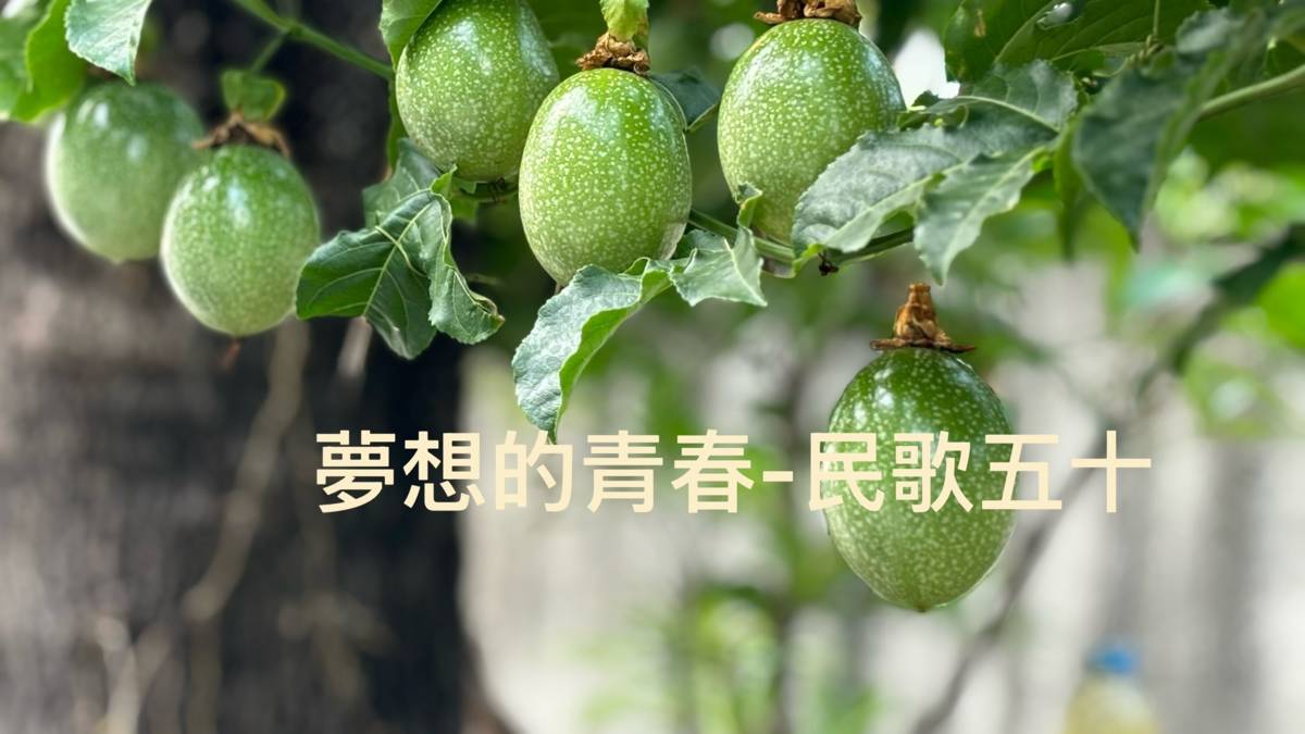 夢想的青春-民歌五十