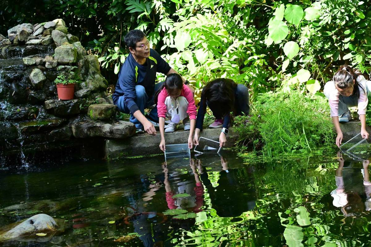 銘傳國小學生放養史尼氏小䰾到生態池，復育瀕危的臺灣原生魚類


