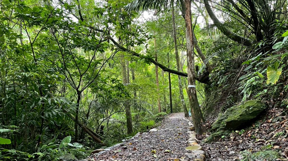 「新北市平溪嶺腳寮-望古觀瀑步道亮點環境營造計畫工程」採用低衝擊開發(LID)工法，打造碎石木屑舖面步道，分段逐層截流方式涵養水資源，減少土石流失與邊坡沖蝕風險。