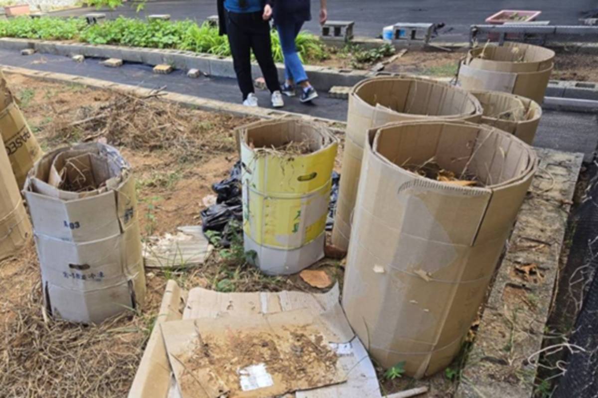 澎湖縣環保局在校園內建置落葉膠囊 有效解決落葉問題