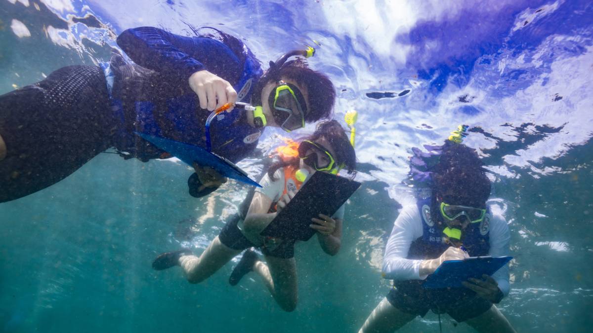 水下學習紀錄.jpg