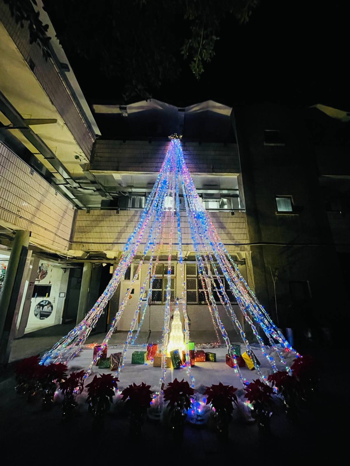 新北市北海岸最大巨型環保聖誕樹在金山高中校園點燈，為歲末寒冬注入滿滿溫暖與希望 (金山高中提供)