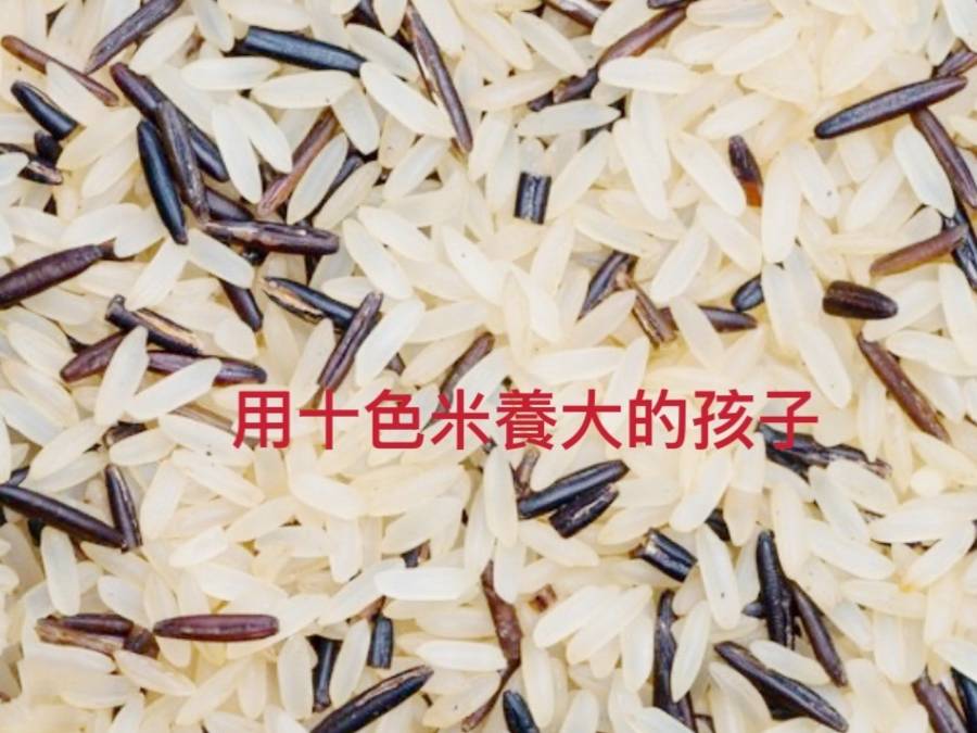 用十色米養大的孩子＋台灣的咖啡