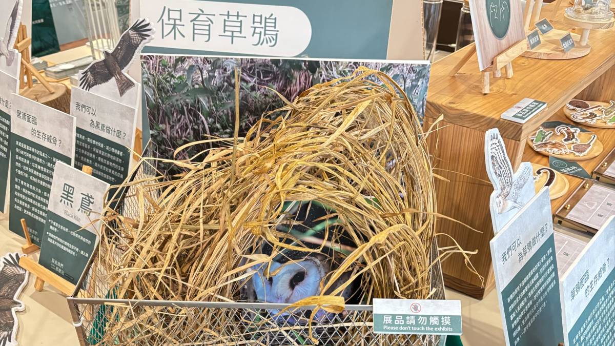 在大雪山遊客中心3樓舉辦「原來我們那麼近.猛禽生活主題展」，帶領民眾走進猛禽的奇異世界。