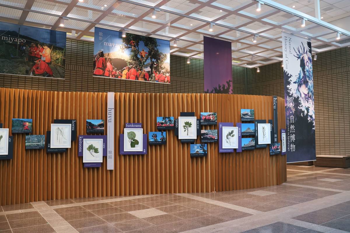 《鄒．自然博物》特別展出30多件臘葉標本。（圖：科博館提供）
