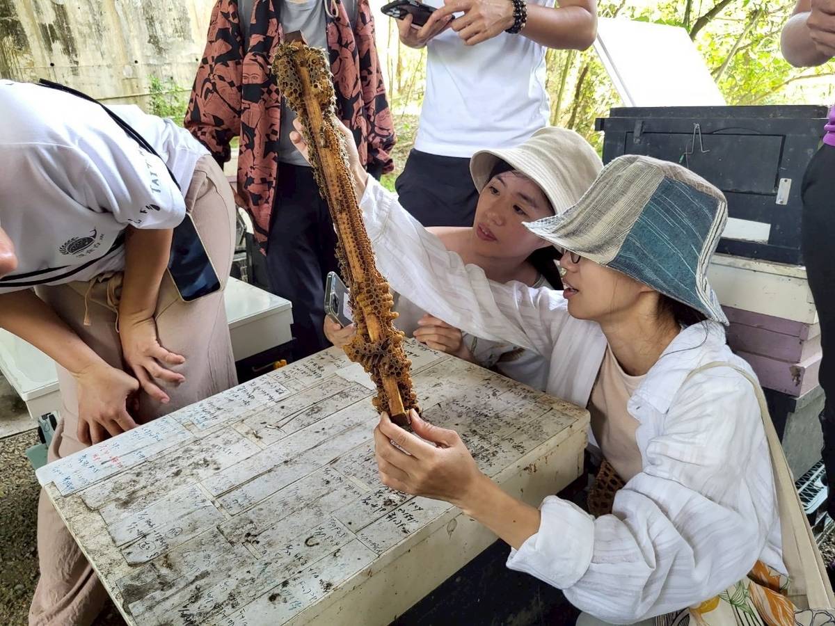 帶領民眾認識養蜂流程/取自「獵場」FB粉絲專頁