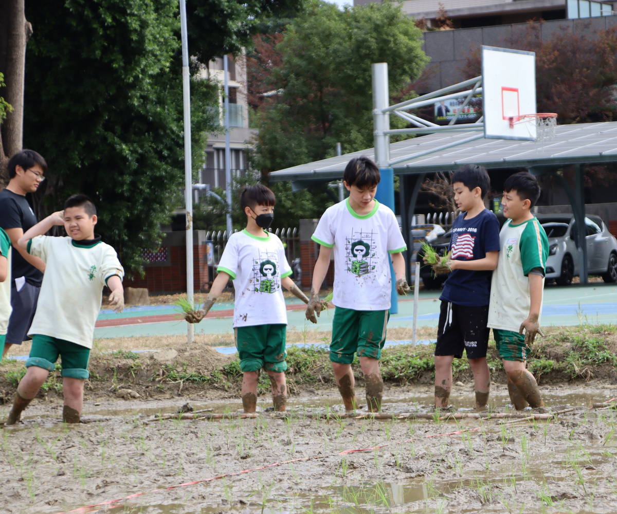 臺中樂業國小祭天後 春耕下田