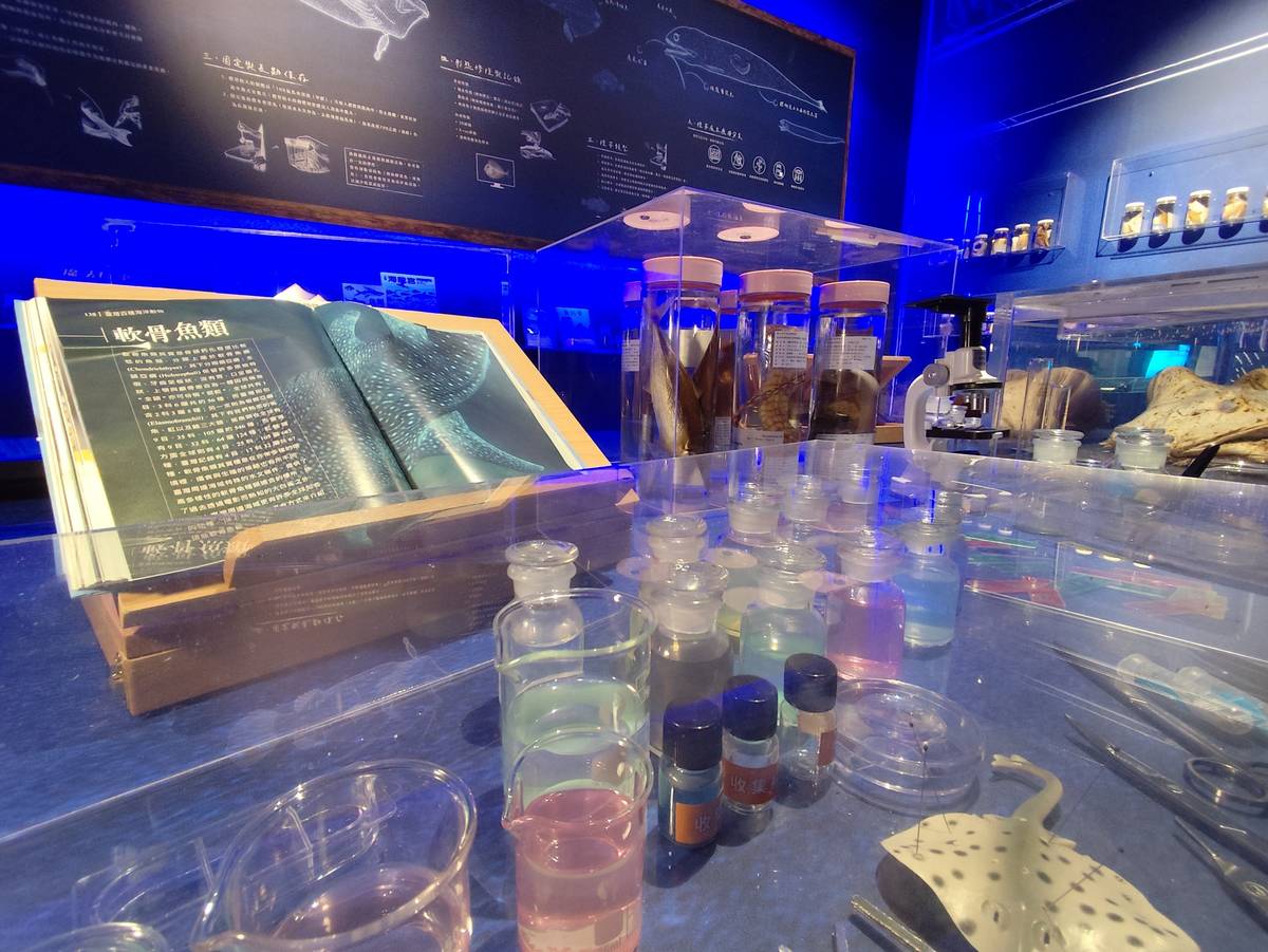 「標本實驗室」展區展出科學家細緻的標本製作及保存工藝