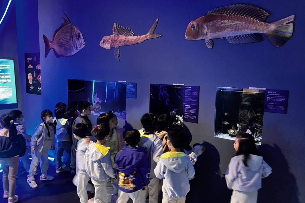 海科館「深海之境 2.0」精彩展出 探索深海奧秘故事