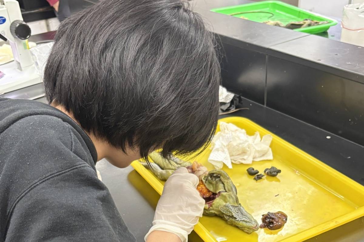 培育野生動物寄生蟲研究人才 嘉大舉辦工作坊