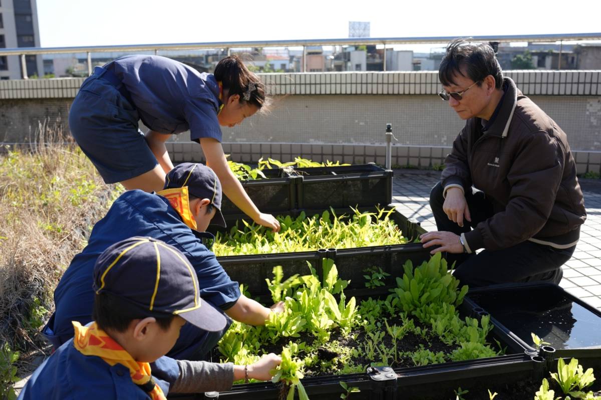 從產地到餐桌 新北三光幼童烹煮「愛心健康麵」