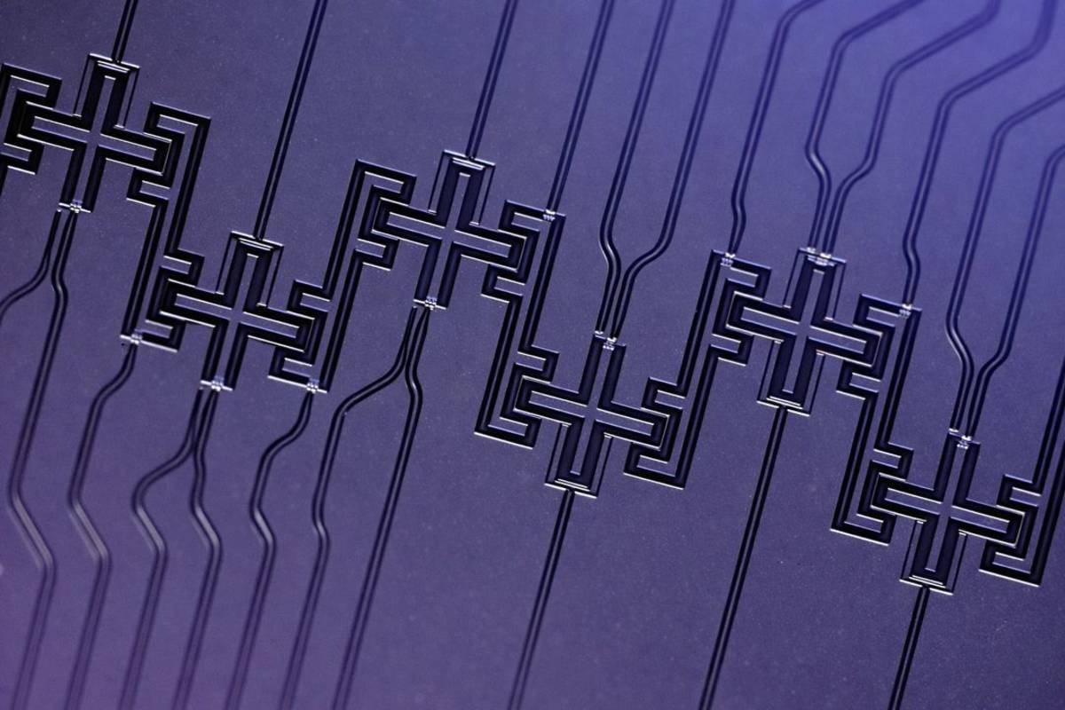 中研院自研自製新一代「20位元超導量子晶片」（圖片來源：中研院）