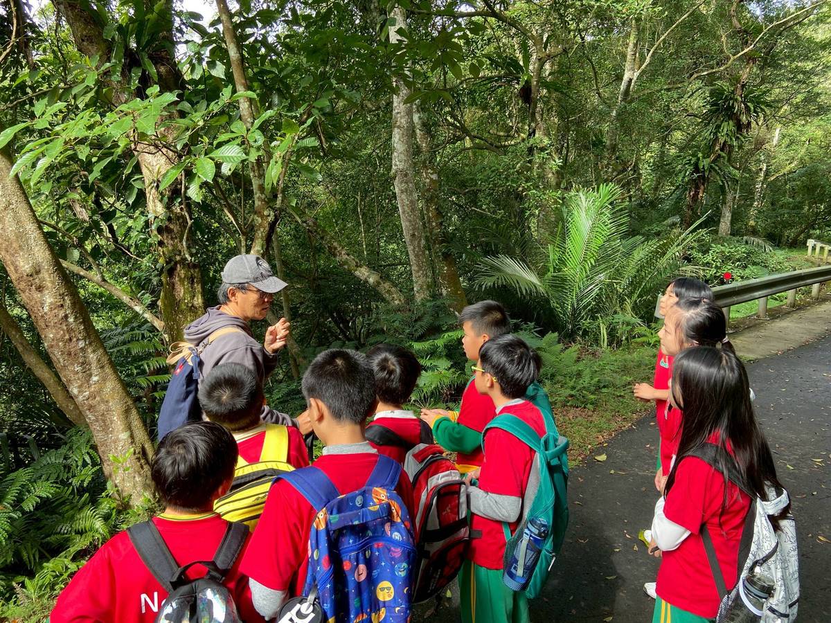 內柵國小「綠讀山水課程」植物的介紹 (教育局提供)