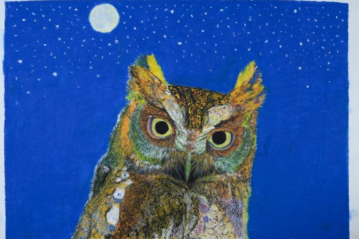 蘭嶼角鴞/作者林謙燕