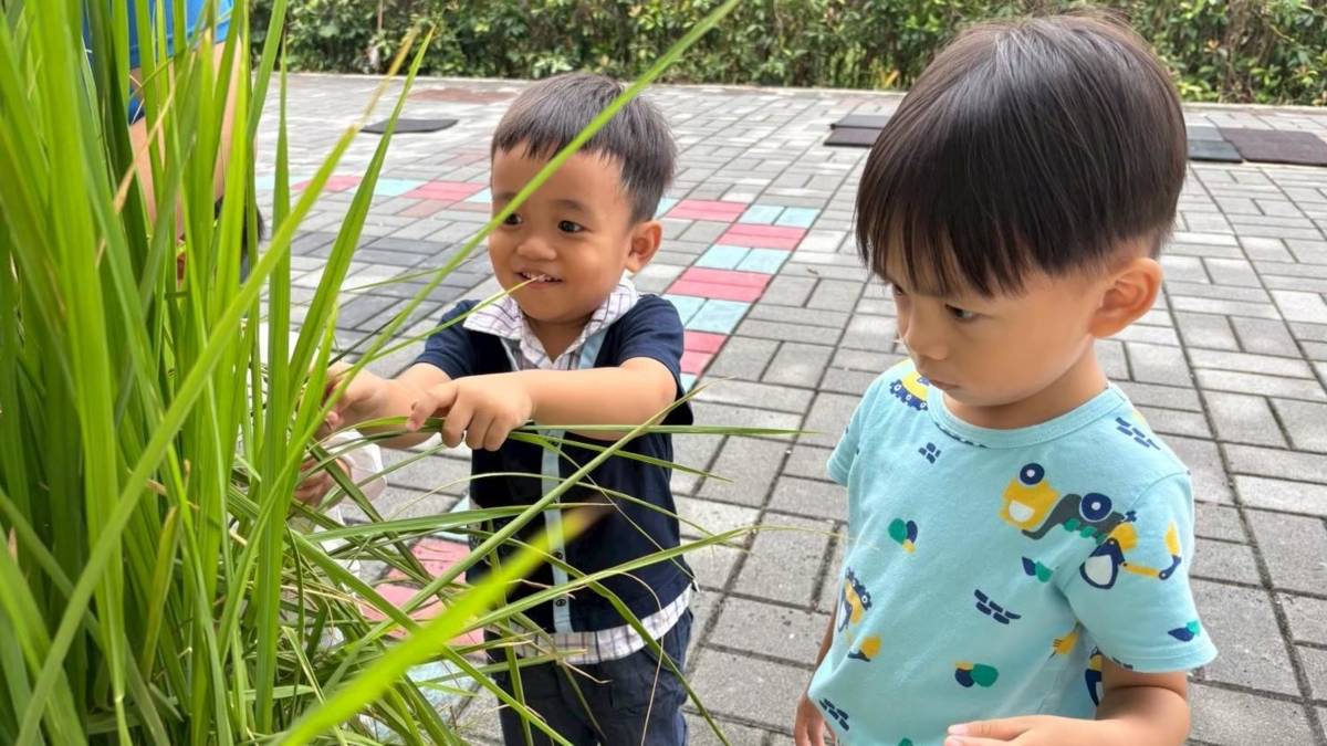 屏東光春非營利幼兒園