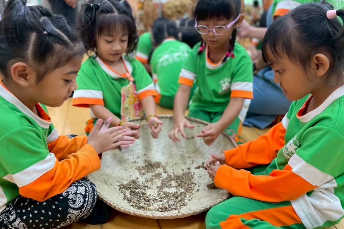 屏東縣長榮百合國小附幼幼兒體驗從小米穗搓下種子