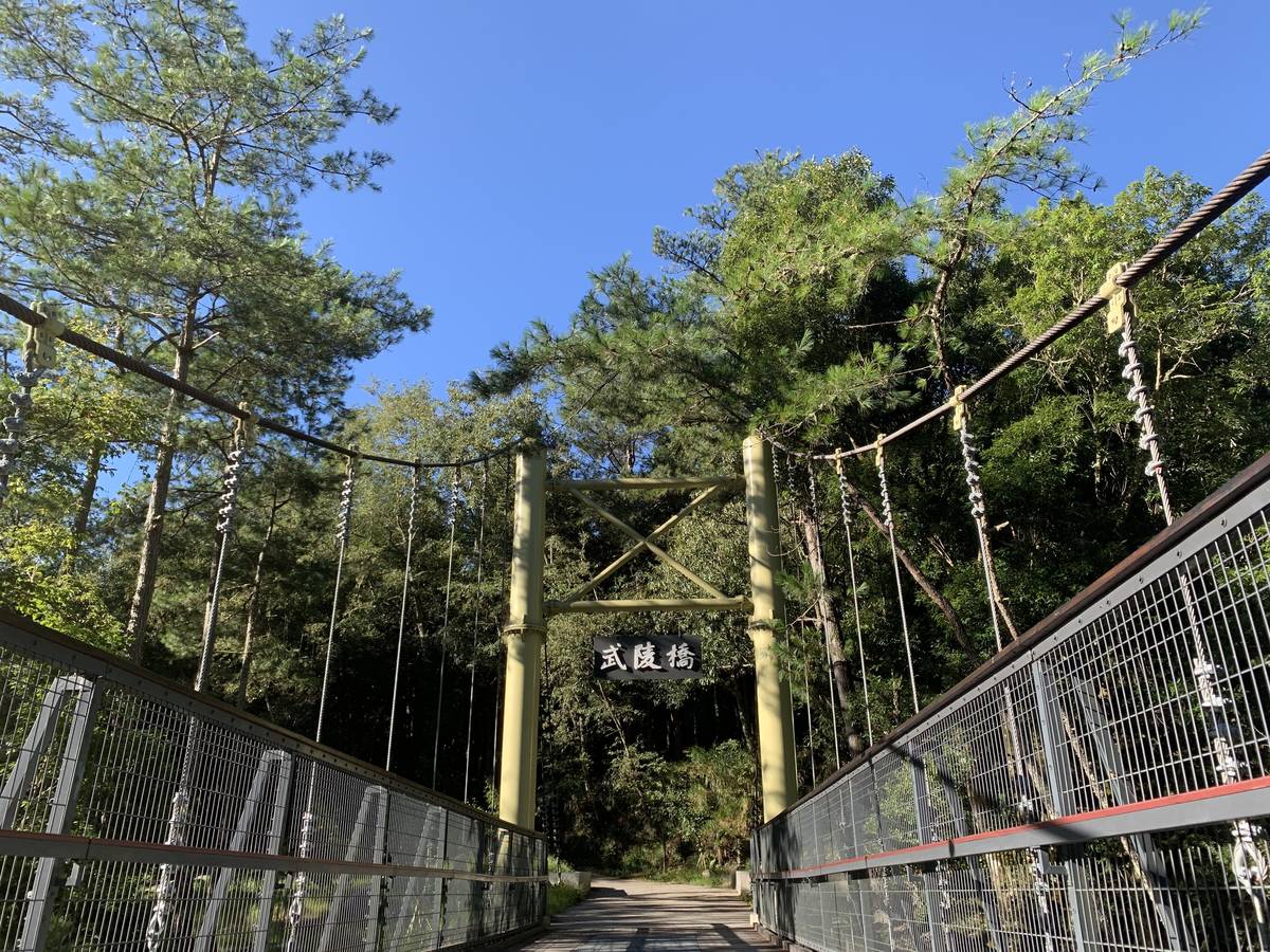 武陵國家森林遊樂區-武陵吊橋(臺中分署提供)